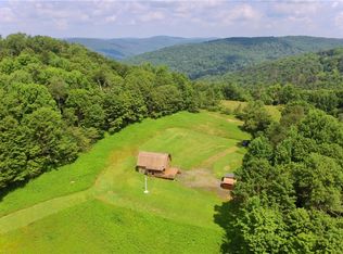 4238 Baxter Mountain Rd, Downsville, NY 13755