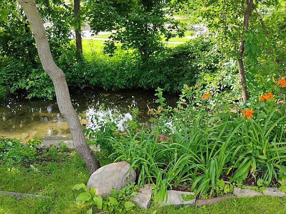 River running through backyard
