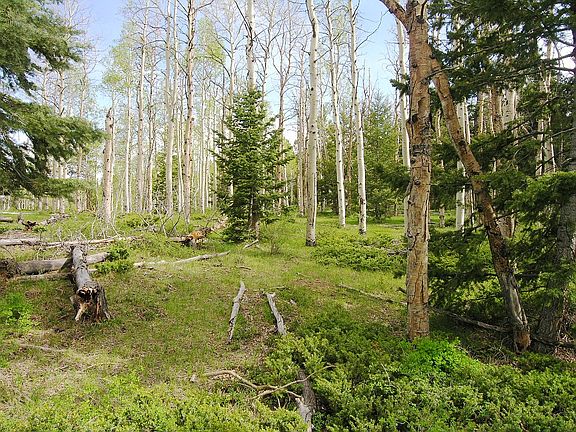 3rd image of Tbd Copper Mountain Road