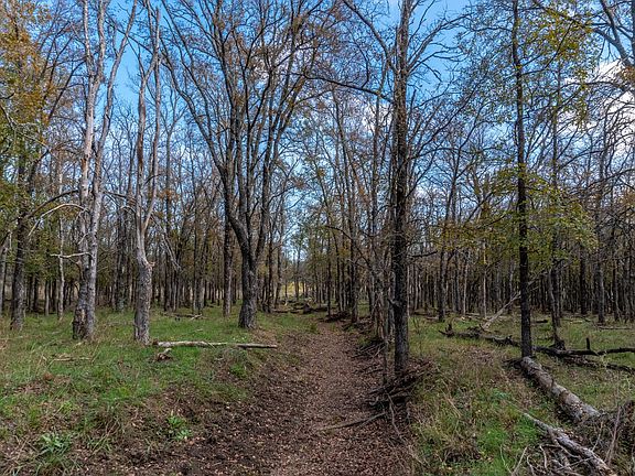 Owner Financed Land For Sale In Comanche County | De Leon, TX