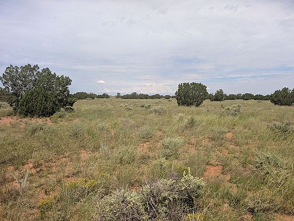 3rd image of 4325 Zeniff Rd