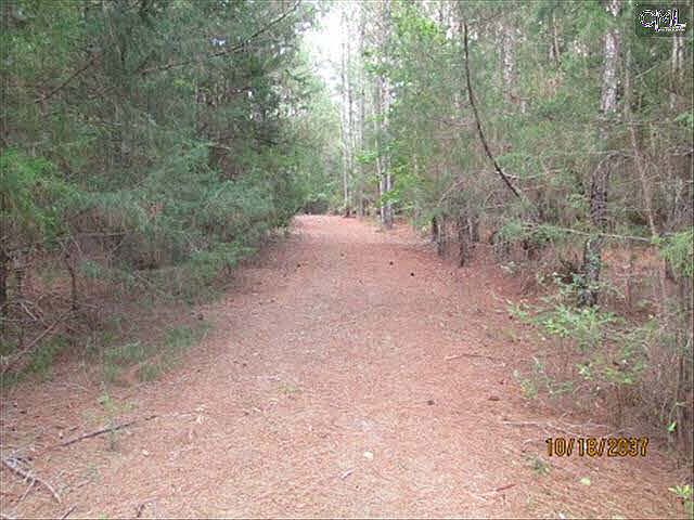 2nd image of 1131 Cole Trestle Rd