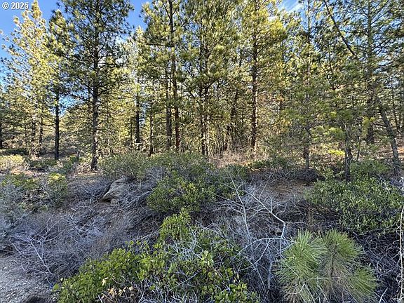 3rd image of Golden Eagle Dr #31