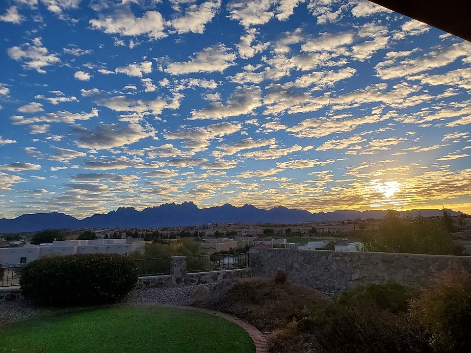 View from the back porch