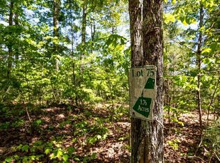 LOT 75 Bluffs Of Cartecay, Ellijay, GA 30540