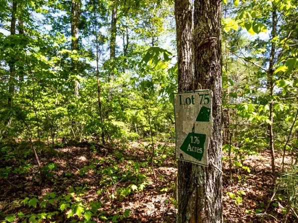 LOT 75 Bluffs Of Cartecay, Ellijay, GA 30540