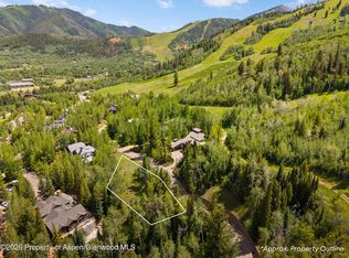 Tbd Pfister Dr, Aspen, CO 81611