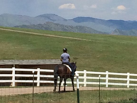 Picturesque Bridle Paths 