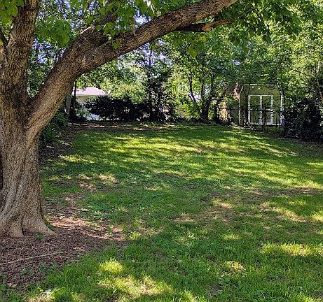 3rd image of 101 Evergreen Ct