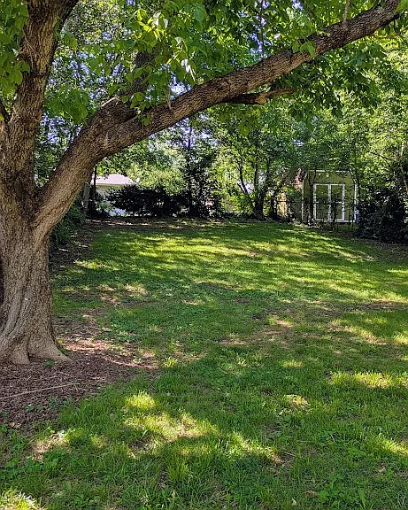 101 Evergreen Ct — Photo 3