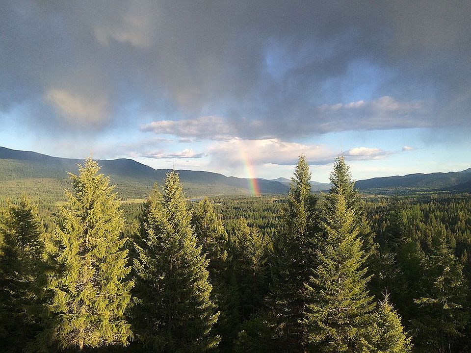 View from back porch