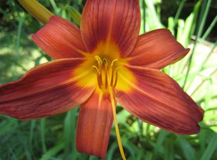 122 Putnam Rd, Schenectady, NY 12306