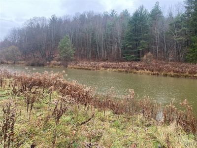 4236 Blouvet Rd, Friendship, NY, 14739