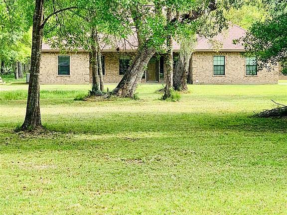 Lots of trees on property