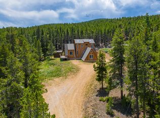 42 Doe Trl, Nederland, CO 80466