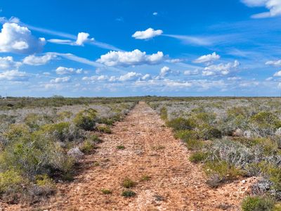 2650 CR 345, San Diego, TX, 78384