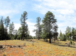 157 Forest Rd, Ramah, NM 87321
