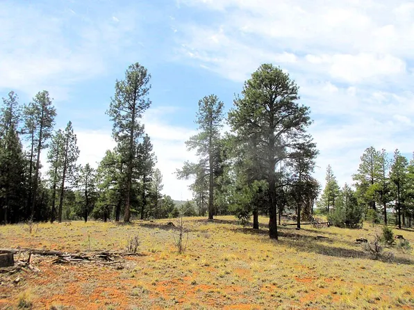 157 Forest Rd, Ramah, NM 87321