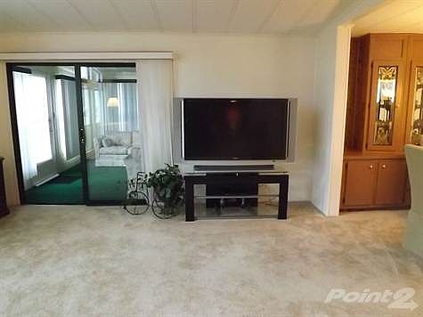 Large Screen TV