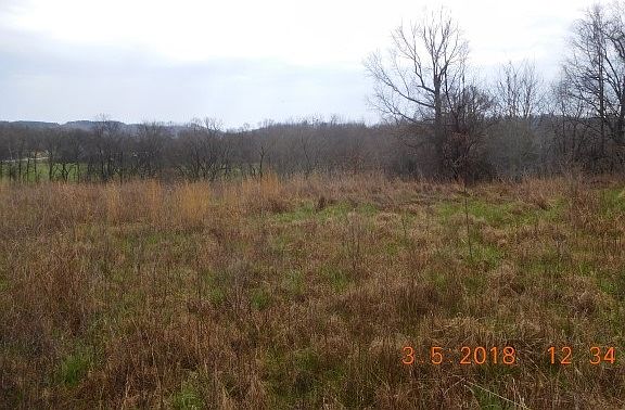 3rd image of LOT 22 Ross Creek Farm Lot 22
