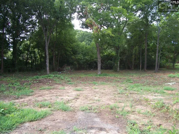 132 S Wheeler Ave, Prosperity, SC 29127