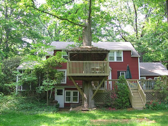Treehouse & deck