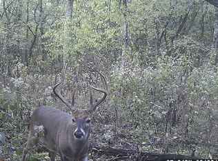 0 Lane Branch Rd, Fayetteville, TN 37334