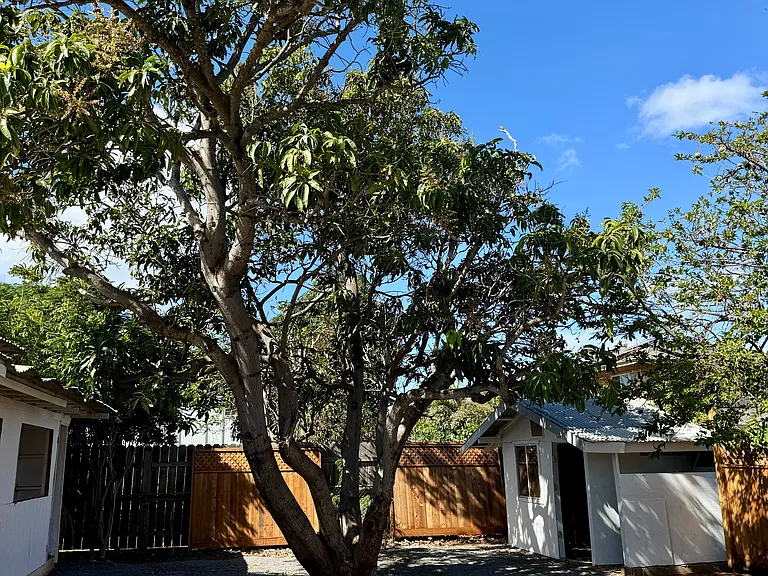 220 Nehu Pl #B — Photo 7