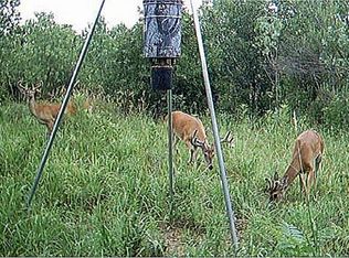 838 Spring Valley Rd, Paradise, TX 76073