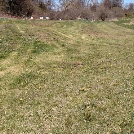 IMG_20150428_132712806 (1)