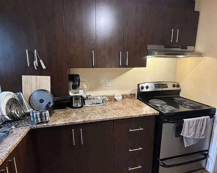4 Lonestar Cres #BASEMENT — Photo 6