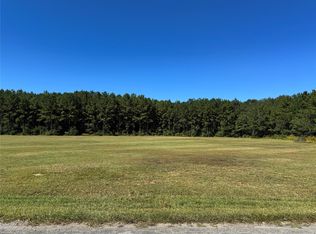 1995 Pan Am Rd LOT 4, Kountze, TX 77625