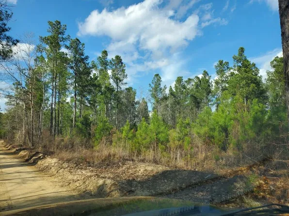 Fyf 1b Fox Young Rd #Fyf-1b, Wagener, SC 29164