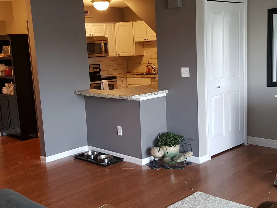 Kitchen from Living Area