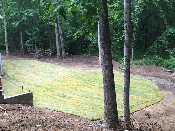 Landscaped backyard 2016