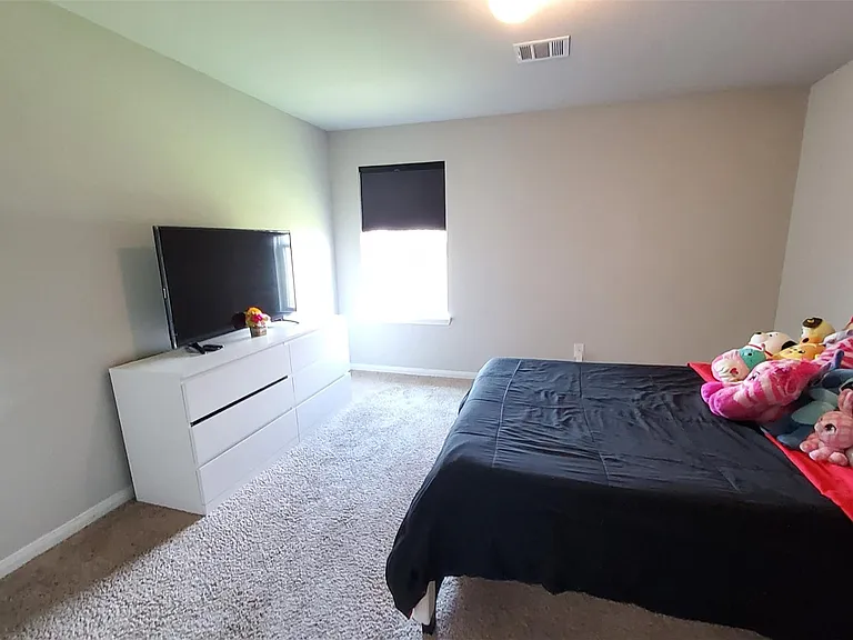 24723 Bastiani Canvas Ln — Photo 35