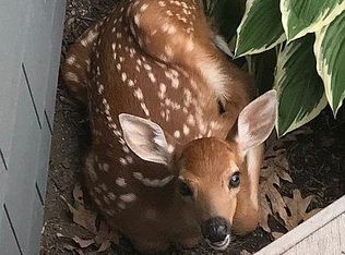 W3910 Woodland Dr, Lake Geneva, WI 53147