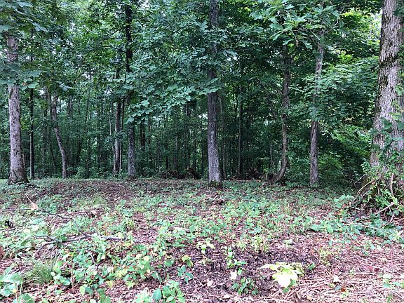 4th image of 9976 Winding Hill Ln Lot 50