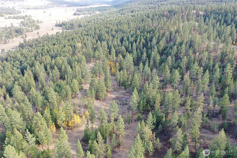 2nd image of 9 Marmot Alley Road