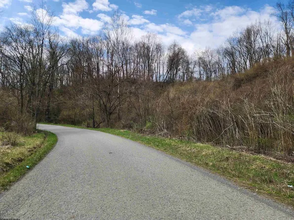 Buffalo Creek Rd, Lost Creek, WV 26385