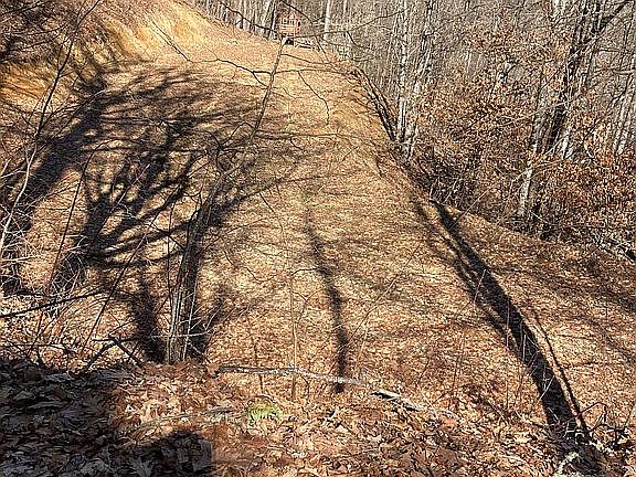 2nd image of 90 Young Bear Trl