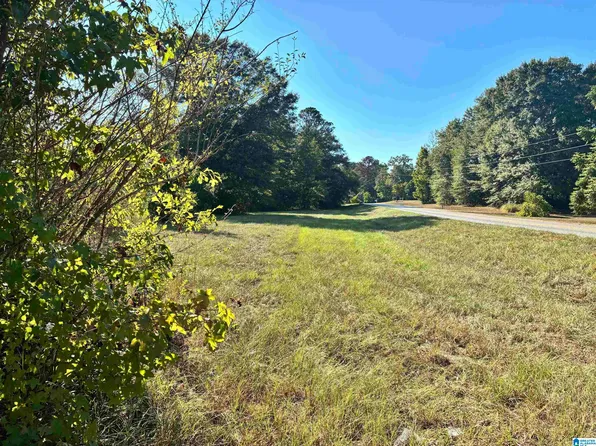 0 County Road 24, Verbena, AL 36091