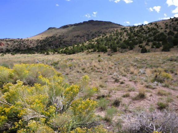 4th image of 1087 Pronghorn Trail