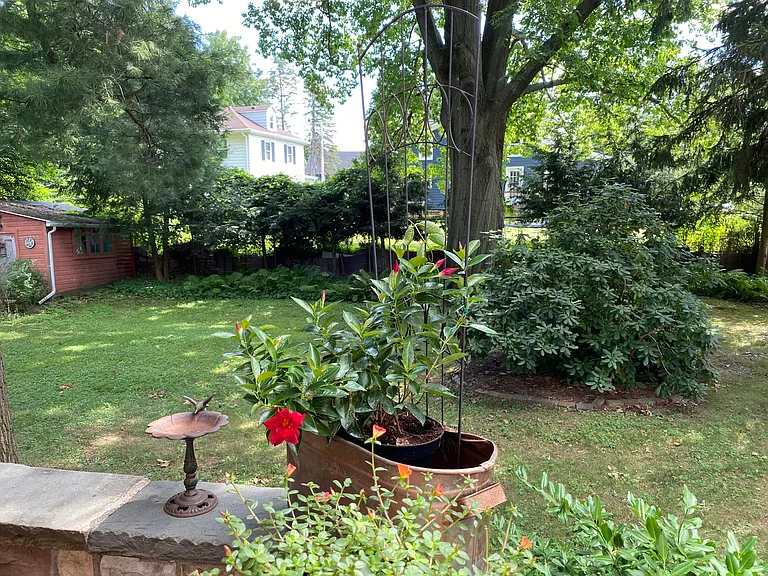 17 Elm St — Photo 4