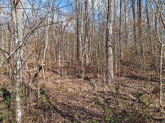 5th image of LOT 11 Meadowood Rd