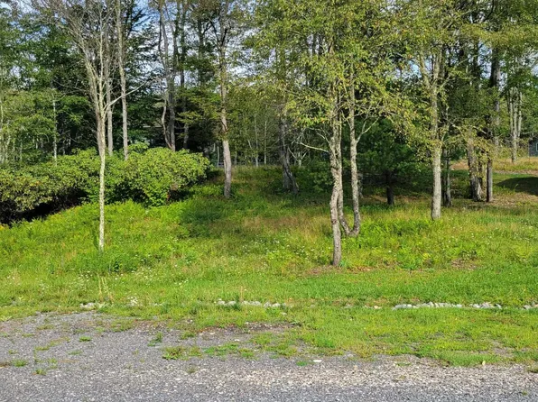 Lots 23 25 Blackwater Canyon Trail Rd, Thomas, WV 26292
