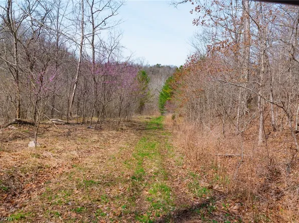 E Branch Rd, Lowell, OH 45744