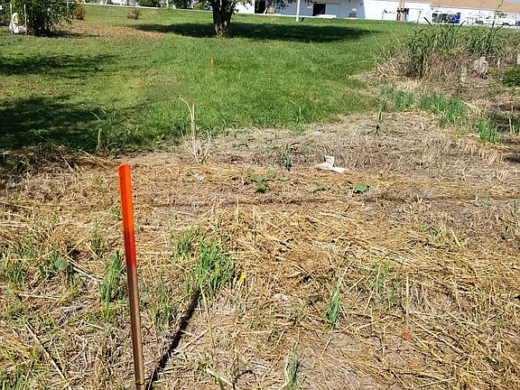 5th image of 602 W Highway 32