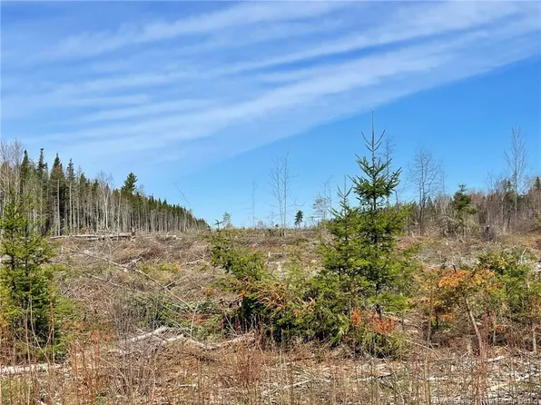 Semiwagan Rd, Nelson, NB E1N 6E7