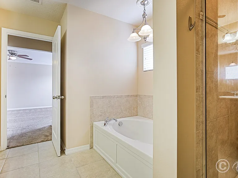4615 Watson Woods Way — Photo 28